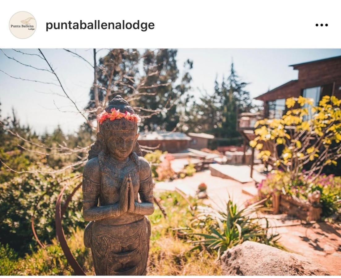 Punta Ballena Lodge 皮奇勒姆 外观 照片