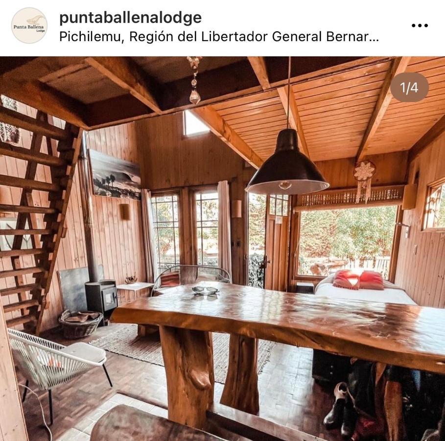 Punta Ballena Lodge 皮奇勒姆 外观 照片