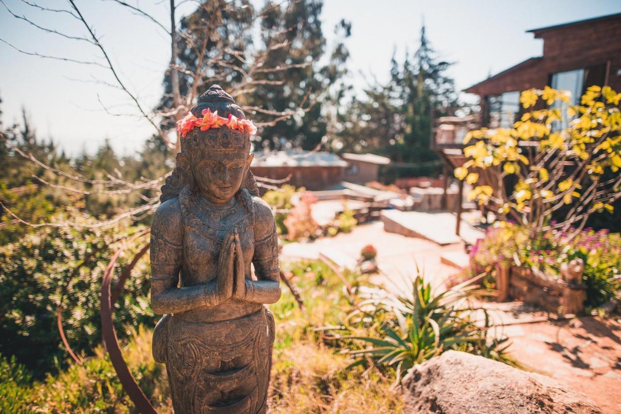 Punta Ballena Lodge 皮奇勒姆 外观 照片